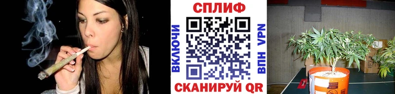 где продают наркотики Калтан Конопля тримм
